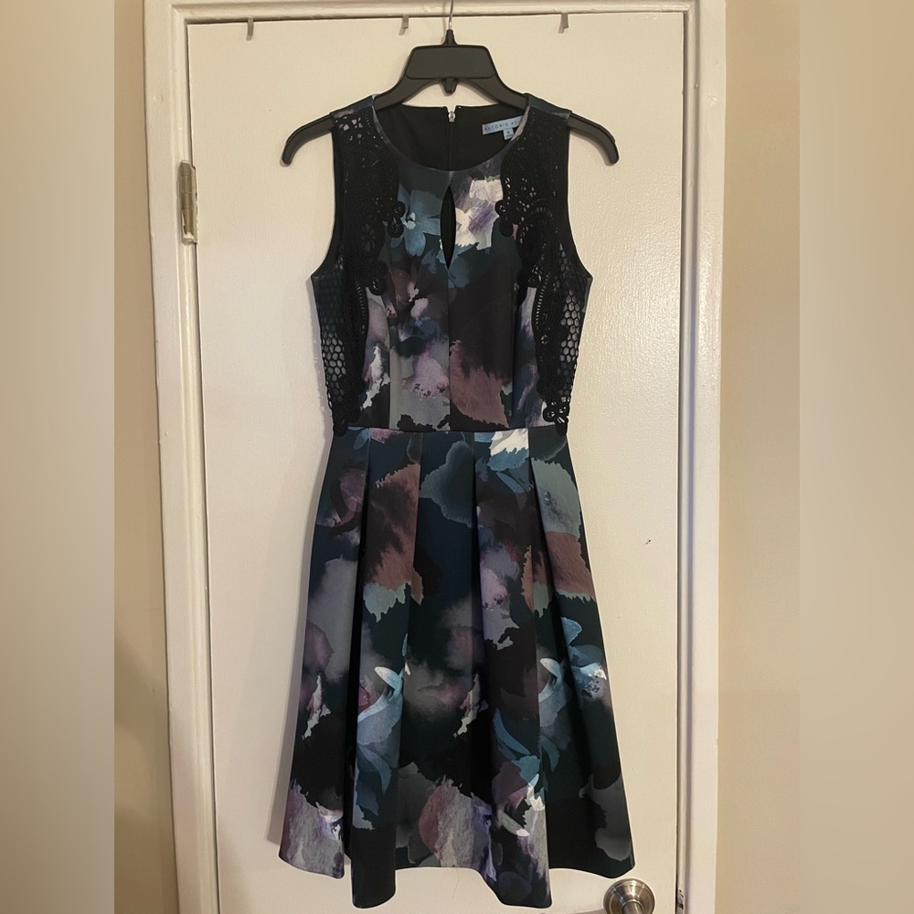Antonio Melani Fit and Flare Dress